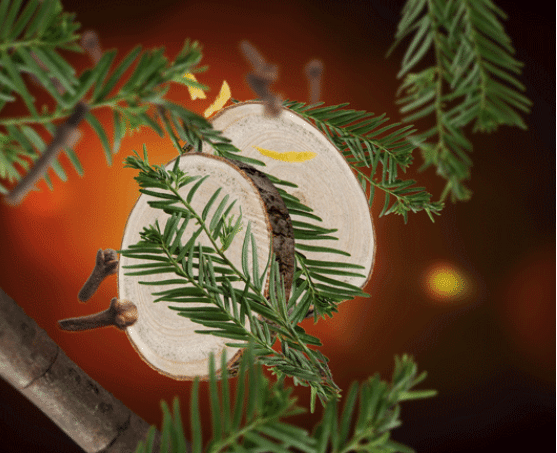 Lampe Berger navulling Virginia Cedarwood 500 ml - Afbeelding 3