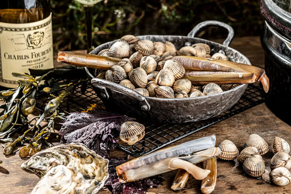 Forged koekenpan 20cm 2 grepen - Afbeelding 4