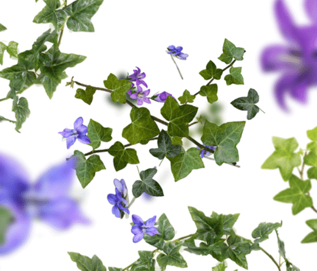 Lampe Berger navulling Lolita Lempicka 1 liter - Afbeelding 3